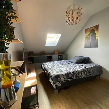 En Duplex, Entree Autonome, Sdb Privative Homestay szállás Taverny